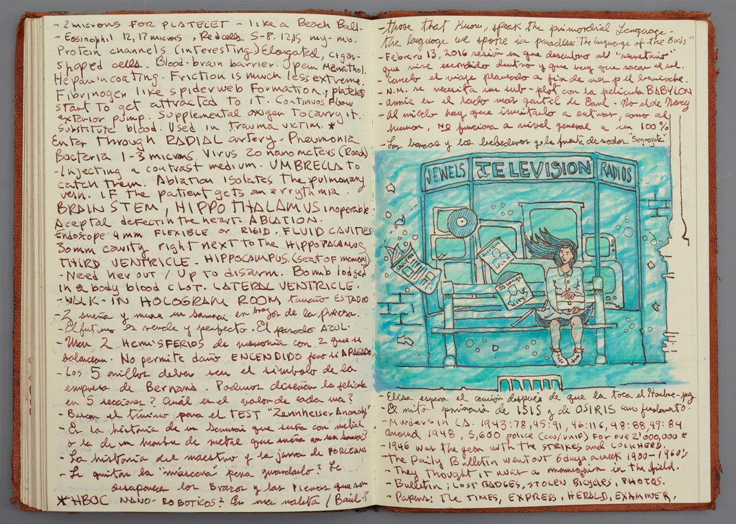 The Shape of Water