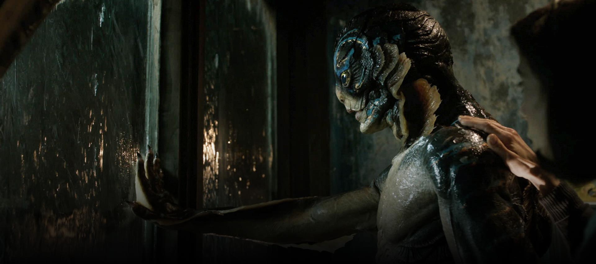 The Shape of Water
