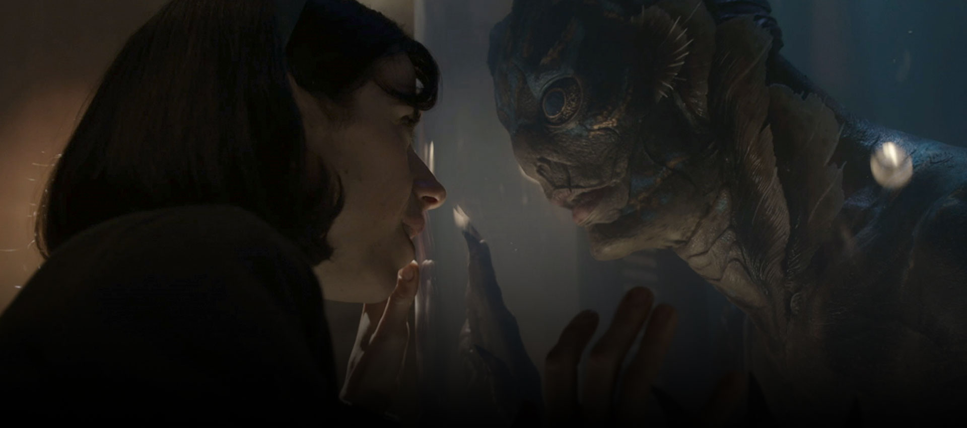 The Shape of Water