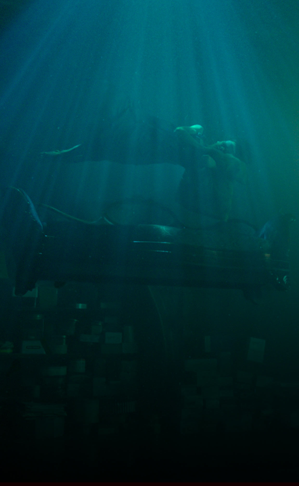 The Shape of Water